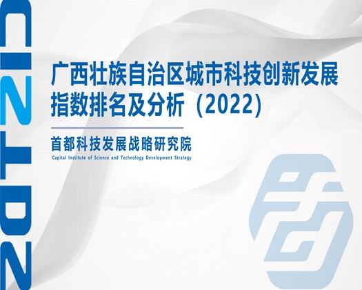 怼嫩逼是av【成果发布】广西壮族自治区城市科技创新发展指数排名及分析（2022）